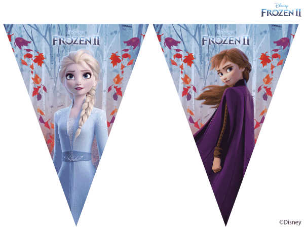 Disney Frozen 2 Birthday Flag Banner