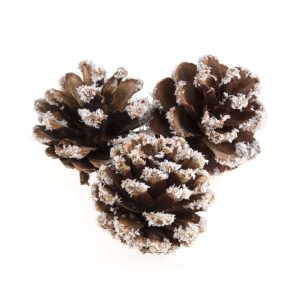 Pine Cones: Frosted: 9 Pieces: 5cm