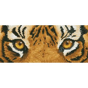 Tiger Spy - Diamond Painting Artwork Kit