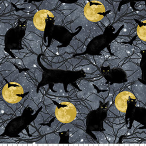Hocus Pocus Black Cats