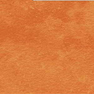 Textured Ginger Blender