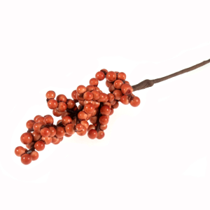 Pepperberries orange