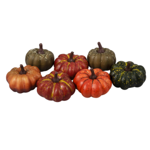 Autumn Pumpkins (7)